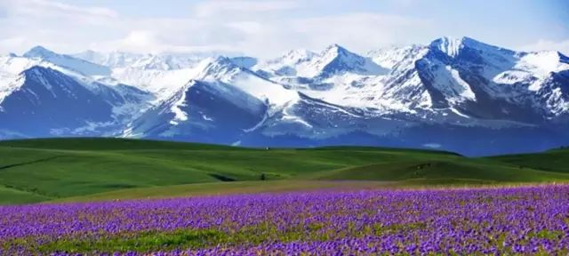 探寻新疆,神秘绿洲的美丽邂逅